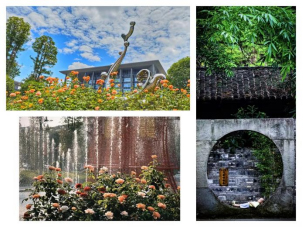 1742268175131074742.jpg hbhd10.jpg